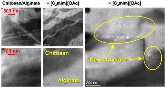 “New structure” formed in biopolymer materials during TEM imaging